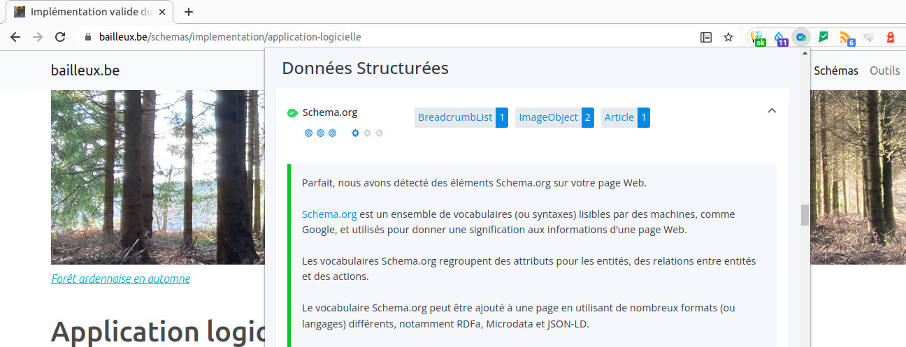 Affichage des types de schémas implémentés sur une page web de ce site Affichage des informations relatives à la validité des schémas implémentés