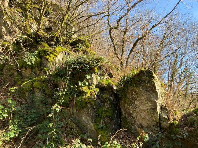 Photographie des massifs rocheux du barrage de l’Ourthe Paysage ardennais près du barrage de l'Ourthe à Nisramont