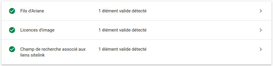 Les trois types de schémas implémentés sur la page d'accueil de ce site web sont valides, selon le test des résultats enrichis de Google Test des résultats enrichis de Google : détection de trois types de schémas valides sur la page d'accueil du site web bailleux.be