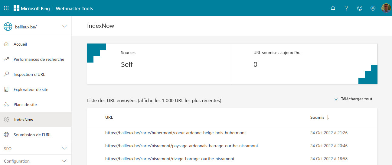 Microsoft Bing Webmaster Tools confirme la réception de données envoyées dynamiquement IndexNow : interface de Microsoft Bing Webmaster Tools