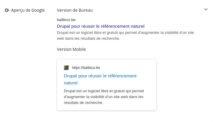 Les internautes peuvent lire tout le titre et la toute description dans les résultats de recherche, tant sur mobile que sur PC Conformité des balises titre et description sur la page d'accueil du site web bailleux.be