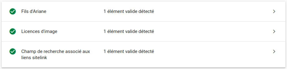 Test des résultats enrichis de Google : détection de trois types de schémas valides sur la page d'accueil du site web bailleux.be